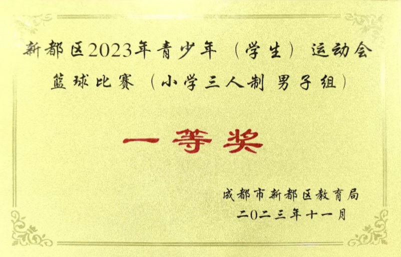 新都區2023年青少年?(學生)?運動會籃球比賽(小學三人制男子組一等獎